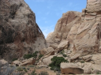 A jughandle arch in Arch Canyon